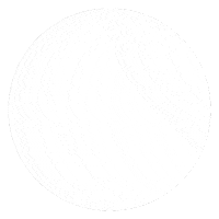 brusselsbeerproject Sticker by Edsnor