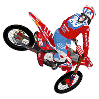 Tiga243 Sticker