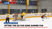 Nashville Predators Hockey GIF by WSMV  News 4, Nashville