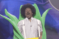 GIF by Saturday Night Live
