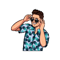 La Combo Tortuga Sticker