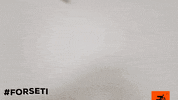 Conexao Solucoes GIF by Forseti Soluções