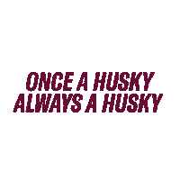 Graduation Bloom Sticker by Bloomsburg University