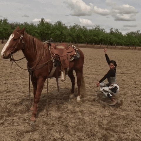 dezmineann dance black horse silly GIF