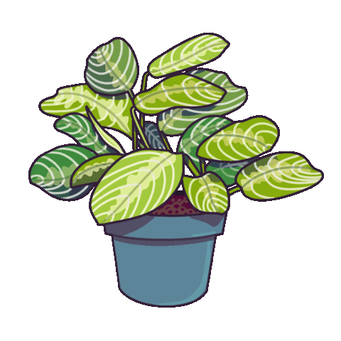 Plants Houseplant Sticker
