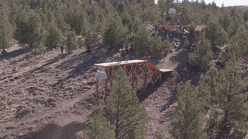 Marzocchi  GIF