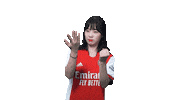 Arsenal Gunners Sticker by Shoot for Love
