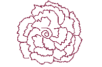 Pi Phi Cactus Sticker by Pi Beta Phi Fraternity for Women