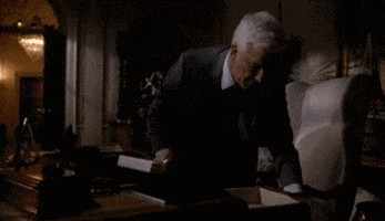 naked gun puns GIF by Cheezburger