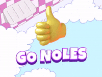 Go Noles!