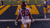 Football Win GIF by Pac-12 Network