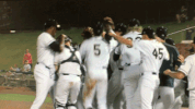 kccougars GIF by Kane County Cougars
