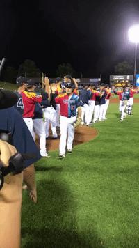kccougars kccougars GIF