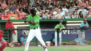 kccougars GIF by Kane County Cougars