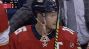 Ice Hockey Yes GIF by NHL