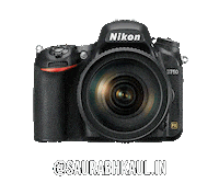 Nikoninstabadge D750 Sticker by NikonIndia