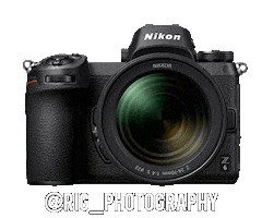 Nikoninstabadge Z6 Sticker by NikonIndia