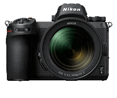 Nikon Ankitanikon Sticker by NikonIndia