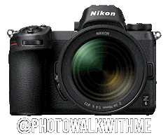 Nikon Photowalkwithme Sticker by NikonIndia