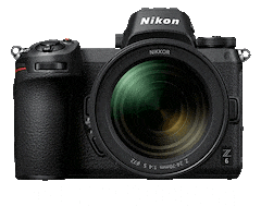 Nikon Debrajphotographynikon Sticker by NikonIndia