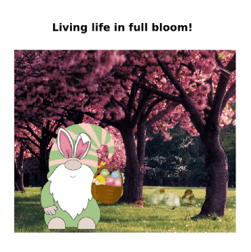 Easter Gnomes GIF