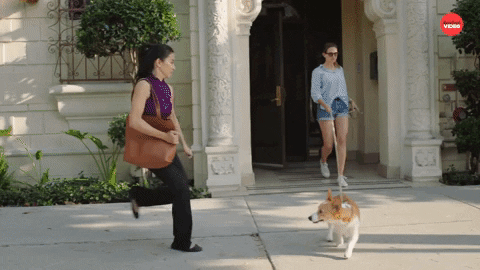 Real Life Summer Games GIF by BuzzFeed