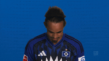 Look Up Hamburger Sv GIF by Bundesliga