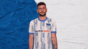 Bundesliga Berlin GIF by Hertha BSC