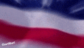 Memorialdayweekwnd Summerholiday Usa Memorialday GIF by Charli Gurl