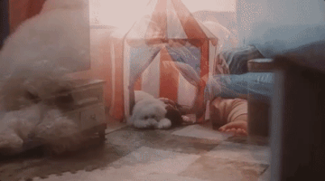 fix me GIF by Beck