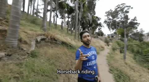 dan james GIF by Much