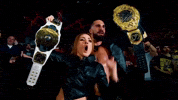 Seth Rollins Wwe GIF