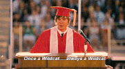 Films Nillies GIF by GoPlay