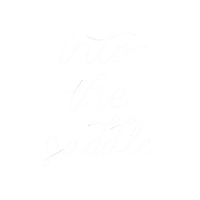 Horse Saddle Sticker