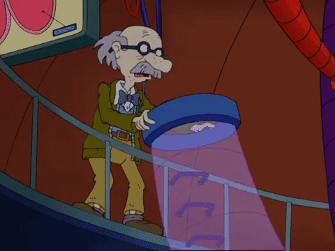 all grown up nicksplat GIF