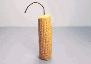 corn GIF