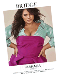 Sticker by Bridge Models