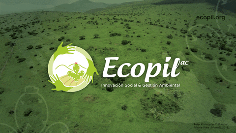 carlostorrsmx giphyupload GIF