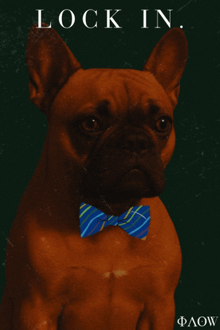 French Dog GIF by George Longovitis