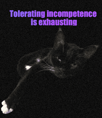 Tuxedo Cat High Standards GIF