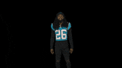 Celebrate South Carolina GIF by Carolina Panthers