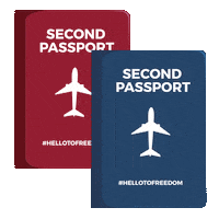 Investment Passport Sticker by RIF Trust