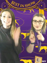 wkcdogshow GIF by Westminster Kennel Club