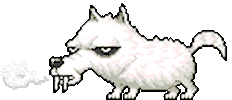 angry wolf STICKER