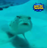 Figurinhas Mar GIF by Sou Eu Na Vida