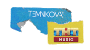 lenatemnikova темниковатв temnikovatv tntmusic тнт music Sticker