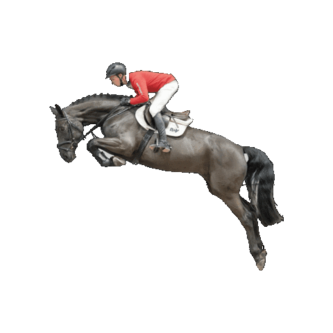 westfalen-pferde giphygifmaker westfalen studbook westphalian Sticker
