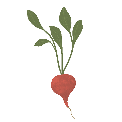 Vegan Diet Sticker