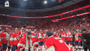 Happy Ice Hockey GIF by NHL
