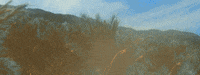 Jurassic Park Animation GIF by Red Giant